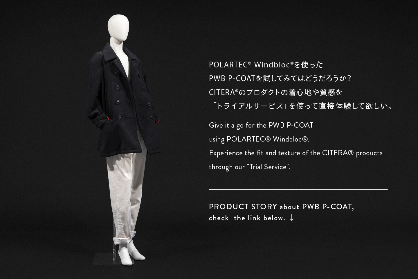 ○袖丈59cmCitera PWB Pコート ダブル Black sサイズ